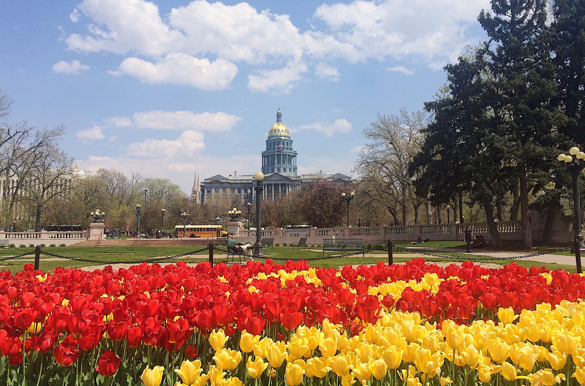 Freestone Strategies Public Affairs Consulting Blooming Colorful Tulips In Front Of The Capitol